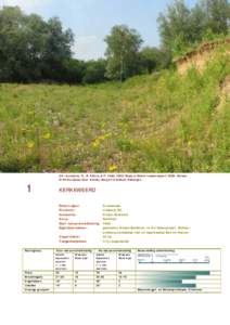 Uit: Kurstjens, G., B. Peters & P. Calle, 2006. Maas in Beeld, tussenrapport[removed]Bureau Drift/Kurstjens Ecol. Advies, Berg en Dal/Beek-Ubbergen.