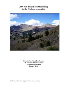 Wild and Scenic Rivers of the United States / Eagle Cap Wilderness / Imnaha River / Trout / Brook trout / Lostine River / Wallowa Mountains / Hells Canyon / Fish / Geography of the United States / Wallowa–Whitman National Forest