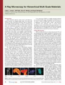 X-Ray Microscopy  X-Ray Microscopy for Hierarchical Multi-Scale Materials Leah L. Lavery*, Jeff Gelb, Arno P. Merkle, and Andy Steinbach  Carl Zeiss X-ray Microscopy, (formerly Xradia, IncHopyard Rd., Suite 100, 