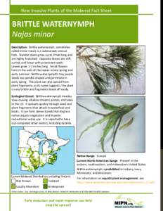 Alismatales / Plant taxonomy / Biology / Najas minor / Aquatic plants / Invasive plant species / Botany