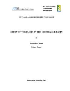 Republics / Rwanda / Wetland / Nile / Akagera National Park / Cyperus papyrus / Nyabarongo River / Water / Political geography / Geography of Africa