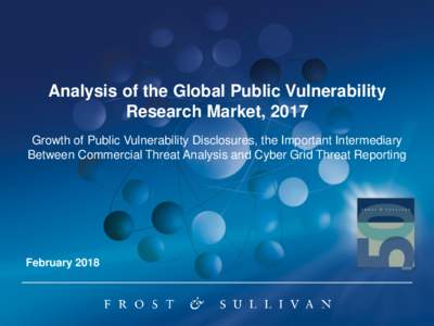 Analysis of the Global Public Vulnerability Research Market, 2017