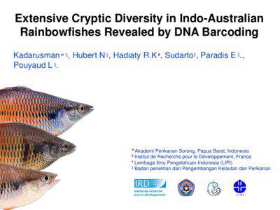 Extensive Cryptic Diversity in Indo-Australian Rainbowfishes Revealed by DNA Barcoding Kadarusman ❊ §, Hubert N §, Hadiaty R.K #, Sudarto‡, Paradis E §.,
