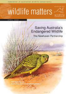 newsletter of australian wildlife conservancy  australian wildlife matters