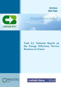 Armines EDF R&D Task 2.1: National Report on the Energy Efficiency Service Business in France