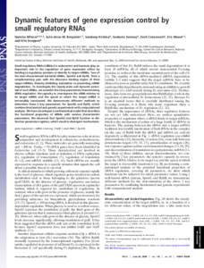 Dynamic features of gene expression control by small regulatory RNAs Namiko Mitaraia,b,1,2, Julie-Anna M. Benjaminc,1, Sandeep Krishnab, Szabolcs Semseyd, Zsolt Csiszovszkie, Eric Masse´c,2, and Kim Sneppenb aDepartment