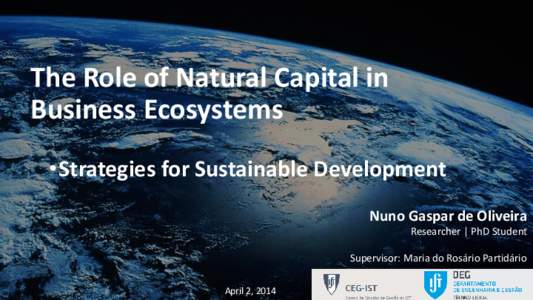 The Role of Biodiversity & Ecosystem Services in Corporate Strategy