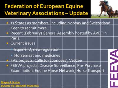 Federation of European Equine Veterinary Associations – Update   