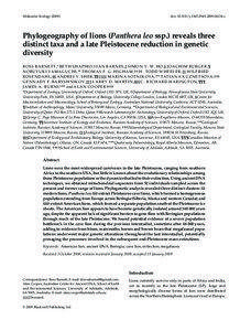 Pleistocene / Geologic time scale / American lion / Panthera leo spelaea / Quaternary extinction event / Panthera leo fossilis / Panthera / Beringia / Joachim Burger / Lions / Pleistocene extinctions / Phanerozoic