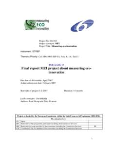 Final report MEI project about measuring eco-innovation