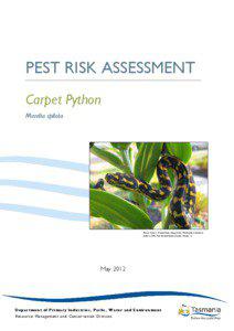 PEST RISK ASSESSMENT Carpet Python Morelia spilota
