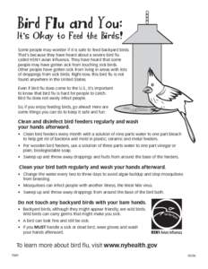 Bird Flu and You: It's Okay to feed the Birds