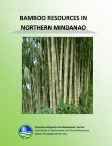 BAMBOO RESOURCES IN NORTHERN MINDANAO Ecosystems Research and Development Service Department of Environment and Natural Resources Region 10 Cagayan de Oro City