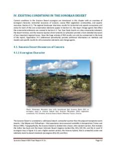 IV. EXISTING CONDITIONS IN THE SONORAN DESERT Current conditions in the Sonoran Desert ecoregion are introduced in this chapter with an overview of ecoregion character, terrestrial resources of concern, coarse filter veg