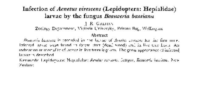 Infection of Aenetus virescens (Lepidoptera: Hepialidae) larvae by the fungus Beauveria bassiana J . R. GREHAN