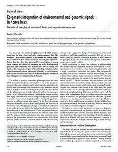 [Epigenetics 3:4, [removed]; July/August 2008]; ©2008 Landes Bioscience  Point of View