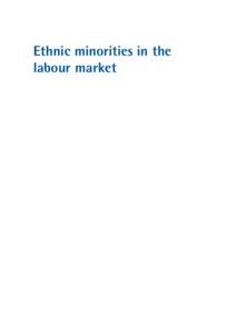 Ethnic minorities in the labour market: Dynamics and diversity