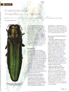 Emerald Ash Borer: A New Pest on our Doorstep