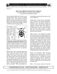 ENTFACT-131  BEAN LEAF BEETLE IN KENTUCKY SOYBEAN Cerotoma Trifurcata (Coleptera: Chrysomelidae) Doug Johnson, Extension Entomologist