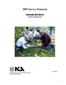 2007 Survey Protocols, Emerald Ash Borer, Agrilus planipennis