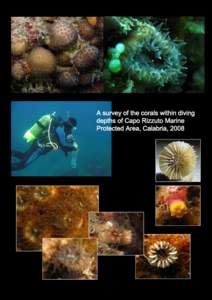 A survey of the corals within diving depths of Capo Rizzuto Marine Protected Area, Calabria, 2008 Index List of figures ...................................................................................................