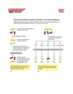 Experimental Demonstration that DNA is the Genetic Material ©1998 by Alberts, Bray, Johnson, Lewis, Raff, Roberts, Walter . http://www.essentialcellbiology.com Published by Garland Publishing, a member of the Taylor & F