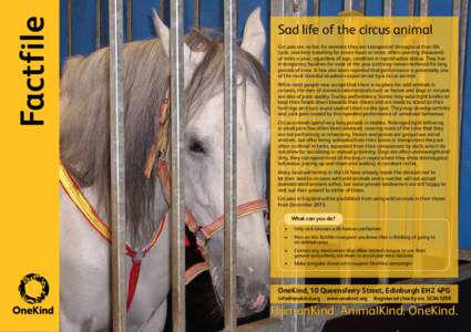 Factfile  Sad life of the circus animal Circuses are no fun for animals; they are transported throughout their life cycle, routinely travelling for seven hours or more, often covering thousands of miles a year, regardles