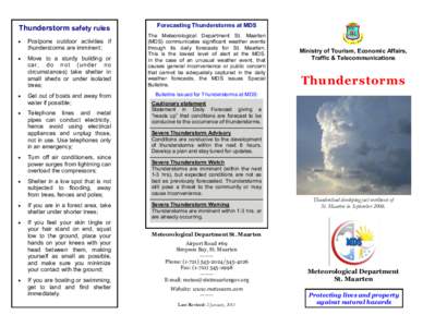 Thunderstorm / Lightning / Cumulonimbus cloud / Cloud / Squall / Outflow / Rain / Cumulus cloud / Air-mass thunderstorm / Atmospheric sciences / Meteorology / Storm