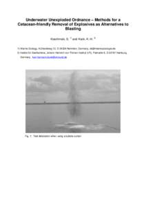Underwater Unexploded Ordnance – Methods for a Cetacean-friendly Removal of Explosives as Alternatives to Blasting Koschinski, S. 1) and Kock, K.-H.  2)