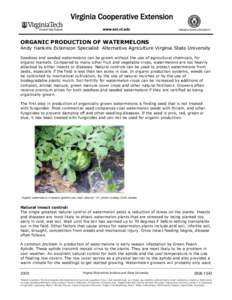 ORGANIC PRODUCTION OF WATERMELONS Andy Hankins Extension Specialist Alternative Agriculture Virginia State University Seedless and seeded watermelons can be grown without the use of agricultural chemicals, for organic ma