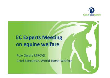 EC Experts Meeting on equine welfare Roly Owers MRCVS Chief Executive, World Horse Welfare  What we have heard