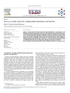 Lipidomics / Sphingolipid / Lipid raft / Lipid / Ceramide / Cell membrane / Membrane curvature / Phosphatidic acid / Membrane protein / Biology / Lipids / Membrane biology