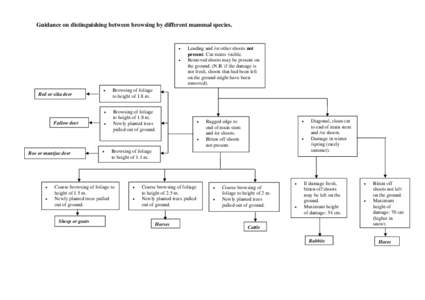 Guidance on distinguishing between browsing by different mammal species.     Red or sika deer