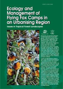 Grey-headed Flying Fox / Little Red Flying Fox / Spectacled Flying Fox / Fox / Royal Botanic Gardens /  Sydney / Red fox / Mammals of Australia / Pteropus / Black Flying Fox