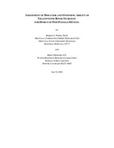 ASSESSMENT OF BEHAVIOR AND SWIMMING ABILITY OF YELLOWSTONE RIVER STURGEON FOR DESIGN OF FISH PASSAGE DEVICES BY:  ROBERT G. WHITE, PH.D.