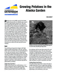 Growing Potatoes in the Alaska Garden HGA[removed]P