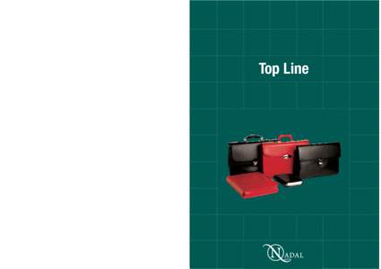 Top Line Amplia colección de líneas elegantes y actuales, en la que se han creado nuevos modelos con la finalidad de completar la oferta. Piel de alta gama que proporciona ductilidad en la forma y suavidad en el tacto.