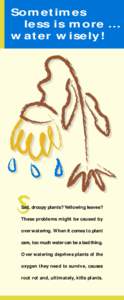 Sometimes less is more … water wisely! Sad, droopy plants? Yellowing leaves? These problems might be caused by