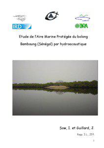 Etude de l’Aire Marine Protégée du bolong Bamboung (Sénégal) par hydroacoustique