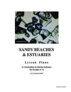 SANDY BEACHES & ESTUARIES Lesson Plans A Curriculum in Marine Sciences for Grades[removed]UCLA OceanGLOBE