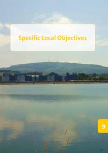 Specific Local Objectives[removed]