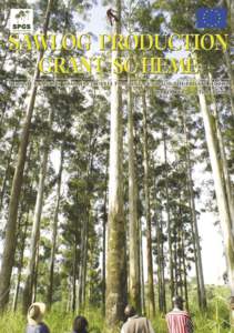 Tree planting / Deforestation / Plantation / Forestry in Uganda / Forestry / Land management / Land use