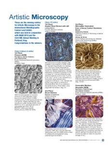 Artistic Microscopy These are the winning entries for Artistic Microscopy in the International Metallographic Contest and Exhibit, which was held in conjunction