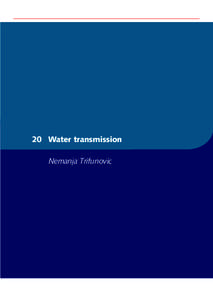 Soft matter / Fluid dynamics / Hydraulics / Hydraulic engineering / Irrigation / Water hammer / Manning formula / Hydraulic head / Darcy–Weisbach equation / Fluid mechanics / Fluid power / Piping