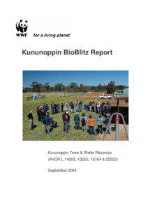 2004 Kununoppin BioBlitz Report