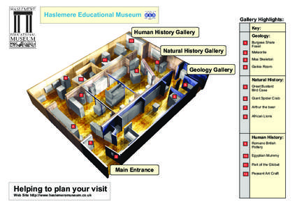 Haslemere Educational Museum  Gallery Highlights: