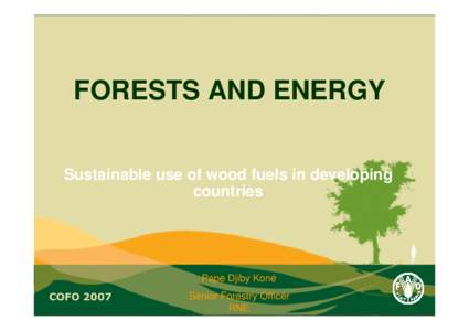 FORESTS AND ENERGY Sustainable use of wood fuels in developing countries Pape Djiby Koné COFO 2007