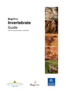 BugWise  Invertebrate Guide A tool for studying Australian invertebrates