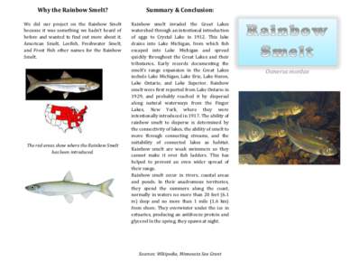 Why	
  the	
  Rainbow	
  Smelt?	
    Summary	
  &	
  Conclusion:	
     We	
   did	
   our	
   project	
   on	
   the	
   Rainbow	
   Smelt	
  