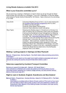 Living Streets Aotearoa e-bulletin Feb 2013 What is your Executive committee up to? We are planning a meeting in Wellington on April 6 where we will go through the Street Audit process and chat about our campaigns. If yo